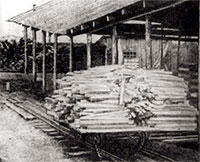 Железнодорожная ветка из трёх узкоколейных путей
для доставки лесоматериалов и подачи их к станкам
